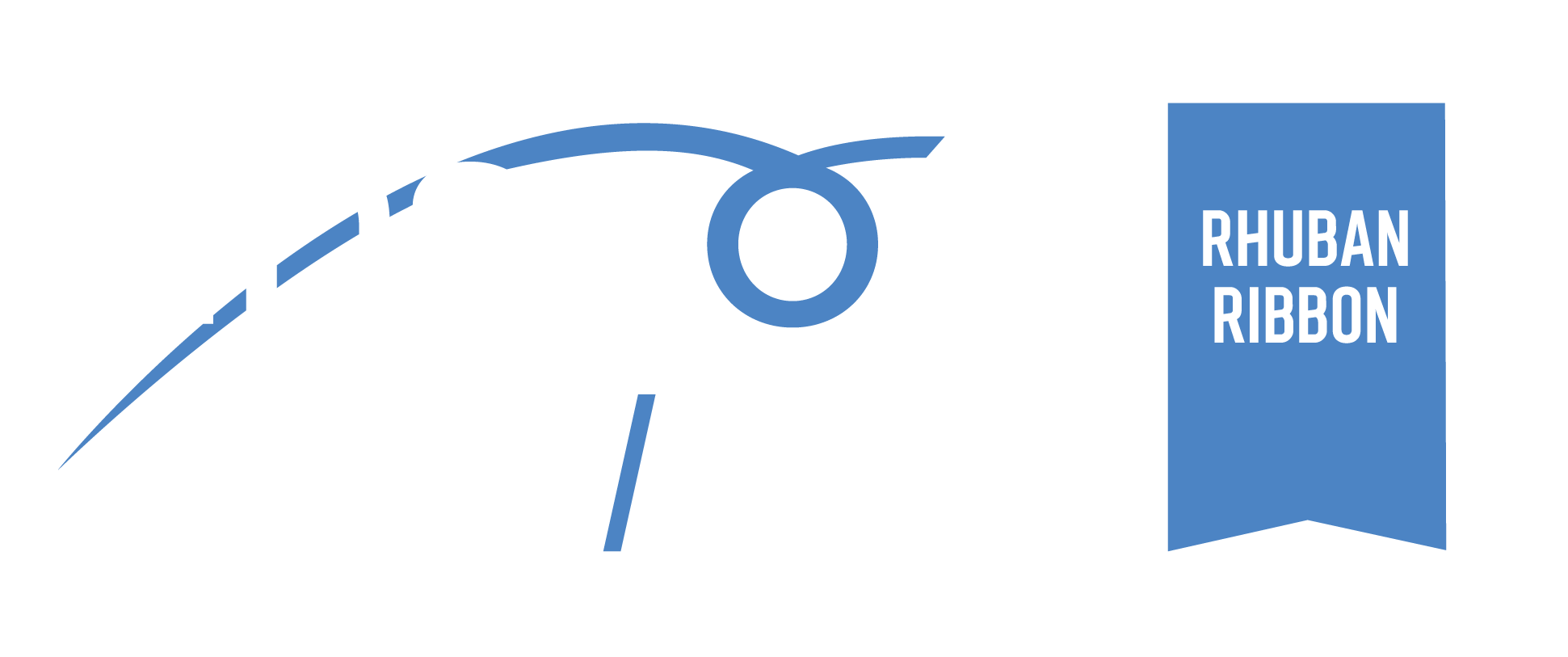 insport NGB Standard Marks Ribbon dark backgrounds copy